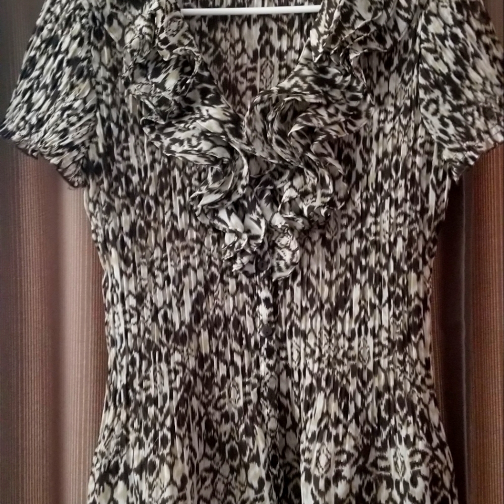 Ruffle front blouse